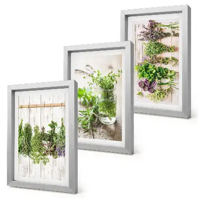 Trittico incorniciato quadro con essiccazione di erbe aromatiche e piante per la cucina