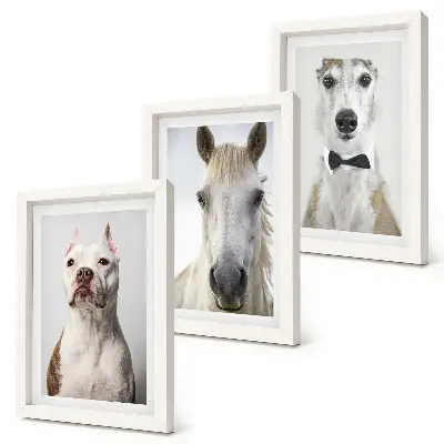 Trittico incorniciato con ritratti eleganti di cani e cavalli