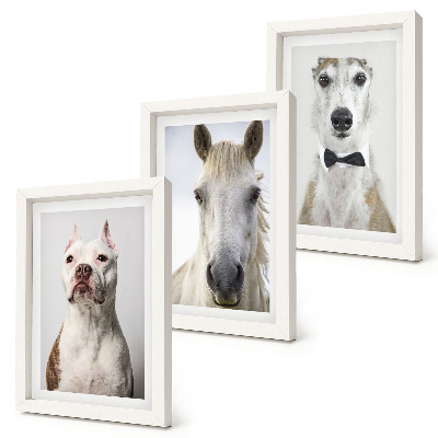 Trittico incorniciato Interessanti ritratti di cani e cavalli in uno stile elegante