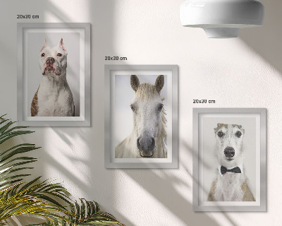 Trittico incorniciato Interessanti ritratti di cani e cavalli in uno stile elegante