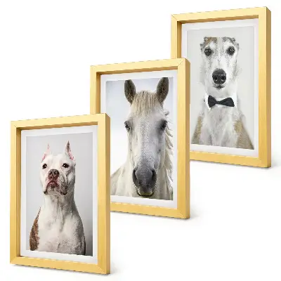 Trittico incorniciato con ritratti eleganti di cani e cavalli