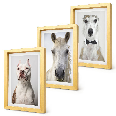 Trittico incorniciato Interessanti ritratti di cani e cavalli in uno stile elegante