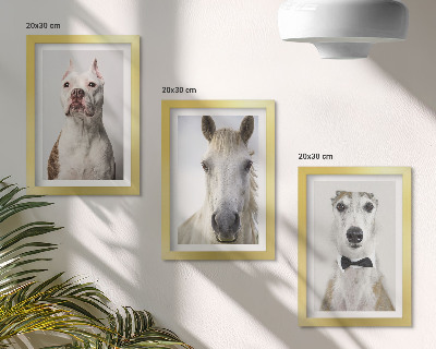 Trittico incorniciato Interessanti ritratti di cani e cavalli in uno stile elegante