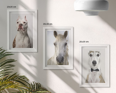 Trittico incorniciato Interessanti ritratti di cani e cavalli in uno stile elegante