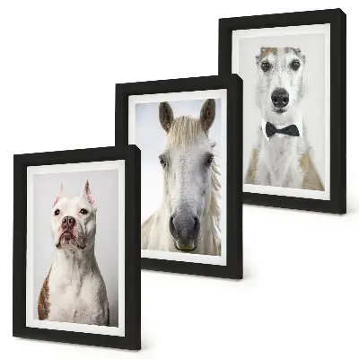 Trittico incorniciato con ritratti eleganti di cani e cavalli