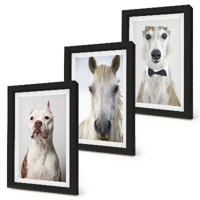 Trittico incorniciato Interessanti ritratti di cani e cavalli in uno stile elegante