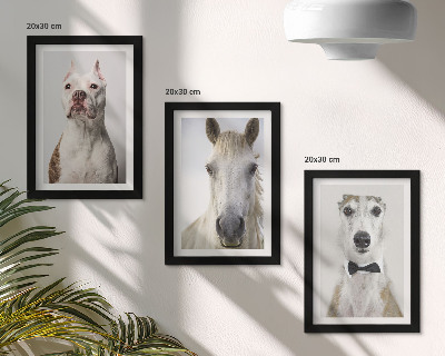 Trittico incorniciato Interessanti ritratti di cani e cavalli in uno stile elegante