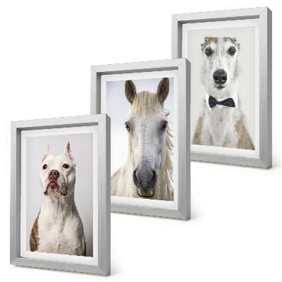 Trittico incorniciato Interessanti ritratti di cani e cavalli in uno stile elegante