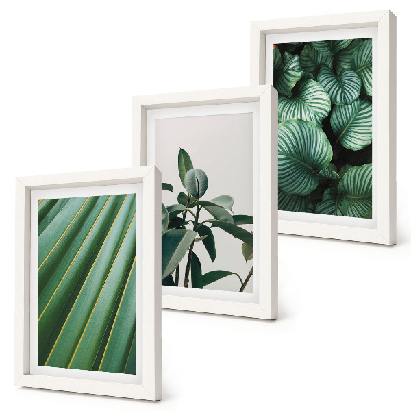 Composizione di 3 quadri Foglie tropicali estetiche in varie tonalità di verde