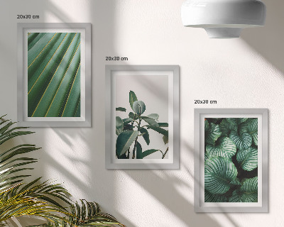 Composizione di 3 quadri Foglie tropicali estetiche in varie tonalità di verde