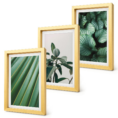 Composizione di 3 quadri Foglie tropicali estetiche in varie tonalità di verde