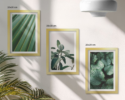 Composizione di 3 quadri Foglie tropicali estetiche in varie tonalità di verde