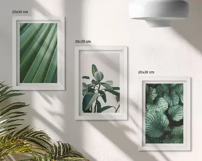 Composizione di 3 quadri con foglie tropicali estetiche in varie tonalità di verde
