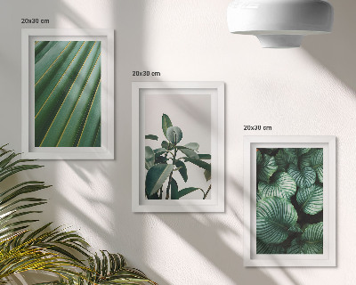 Composizione di 3 quadri Foglie tropicali estetiche in varie tonalità di verde