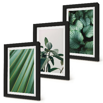 Composizione di 3 quadri Foglie tropicali estetiche in varie tonalità di verde