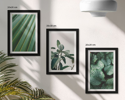 Composizione di 3 quadri Foglie tropicali estetiche in varie tonalità di verde