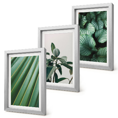 Composizione di 3 quadri Foglie tropicali estetiche in varie tonalità di verde
