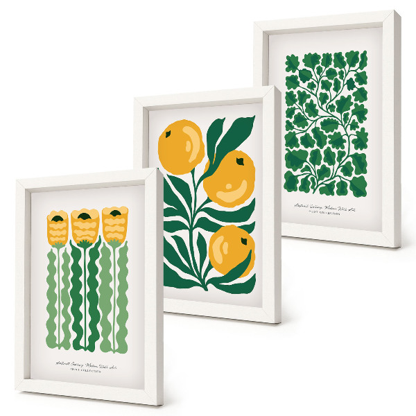 Composizione di 3 quadri Poster con motivi vegetali, fiori e foglie