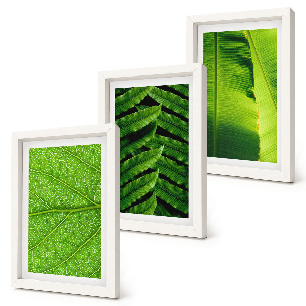Trittico incorniciato Primi piani di foglie tropicali