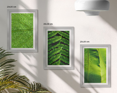Trittico incorniciato Primi piani di foglie tropicali