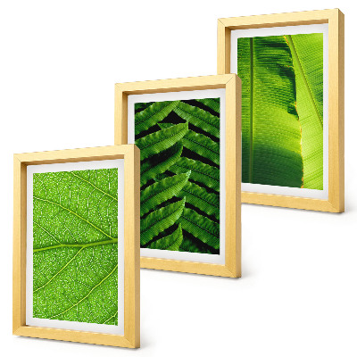 Trittico incorniciato Primi piani di foglie tropicali