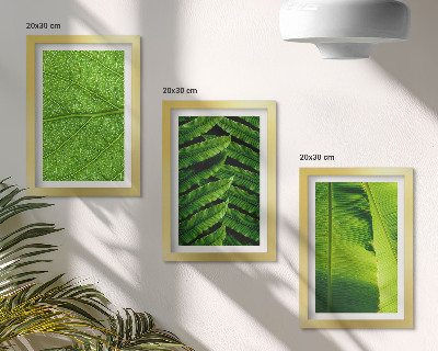 Trittico incorniciato Primi piani di foglie tropicali