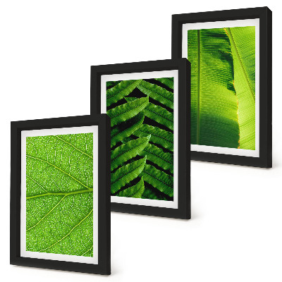 Trittico incorniciato Primi piani di foglie tropicali