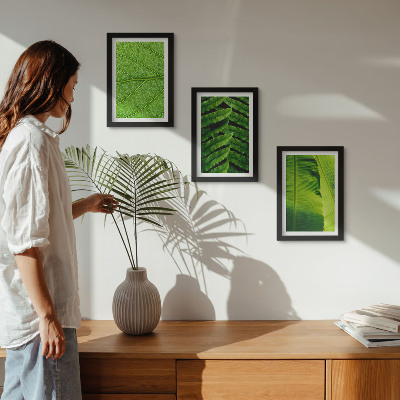 Trittico incorniciato Primi piani di foglie tropicali