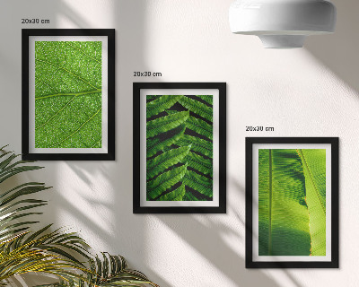 Trittico incorniciato Primi piani di foglie tropicali