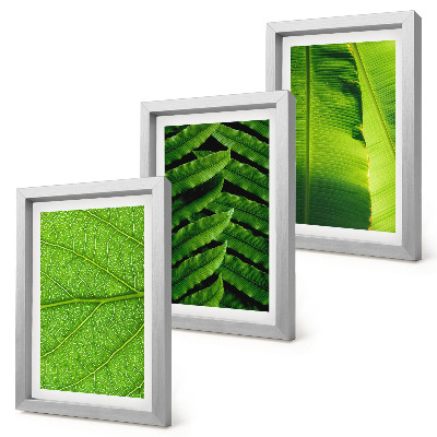 Trittico incorniciato Primi piani di foglie tropicali
