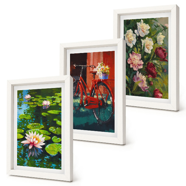 Trittico incorniciato Gigli sull'acqua, bicicletta in giardino, fiori colorati
