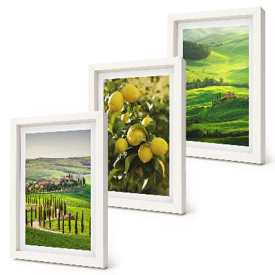 Composizione di 3 quadri Paesaggi italiani con agrumeti e verdi colline