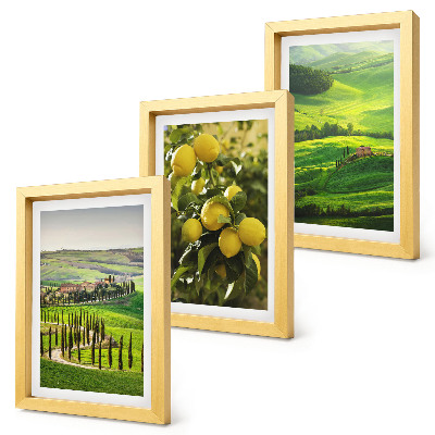 Composizione di 3 quadri Paesaggi italiani con agrumeti e verdi colline