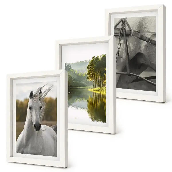 Trittico di quadri cavalli bianchi in riva al fiume con paesaggio naturale