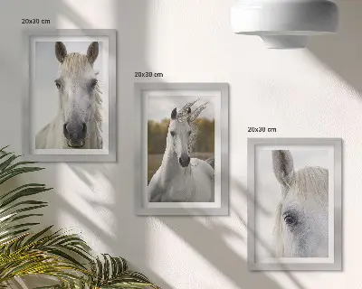 Trittico incorniciato con cavalli bianchi in varie pose su sfondo naturale