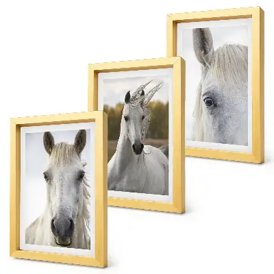 Trittico incorniciato con cavalli bianchi in varie pose su sfondo naturale