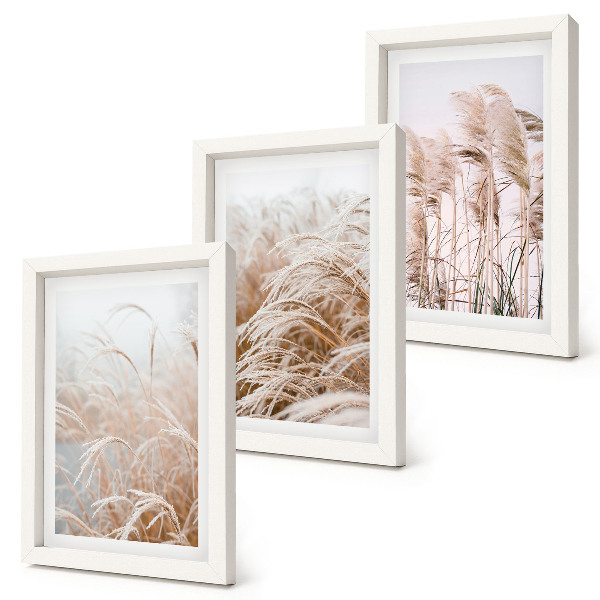 Composizione di 3 quadri Campi d'erba dalle delicate sfumature di marrone e beige