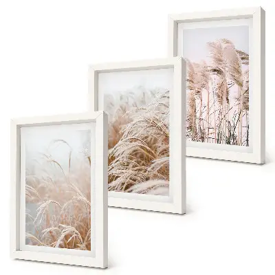 Composizione di 3 quadri con campi d'erba dalle delicate sfumature di marrone e beige