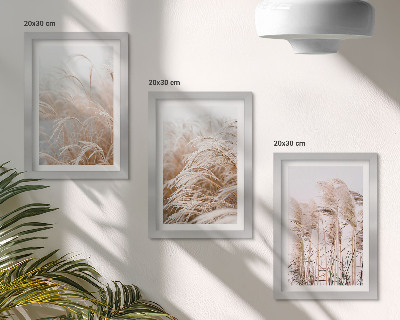 Composizione di 3 quadri Campi d'erba dalle delicate sfumature di marrone e beige