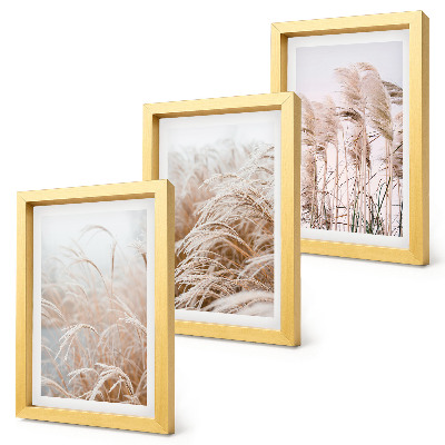 Composizione di 3 quadri Campi d'erba dalle delicate sfumature di marrone e beige