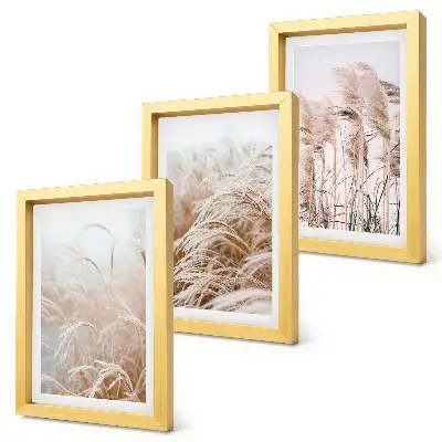 Composizione di 3 quadri con campi d'erba dalle delicate sfumature di marrone e beige