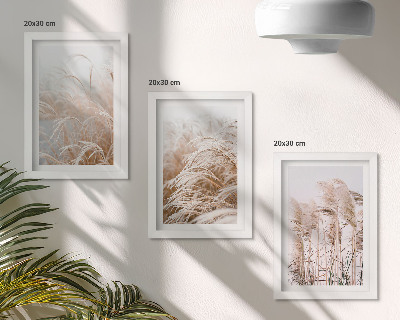 Composizione di 3 quadri Campi d'erba dalle delicate sfumature di marrone e beige