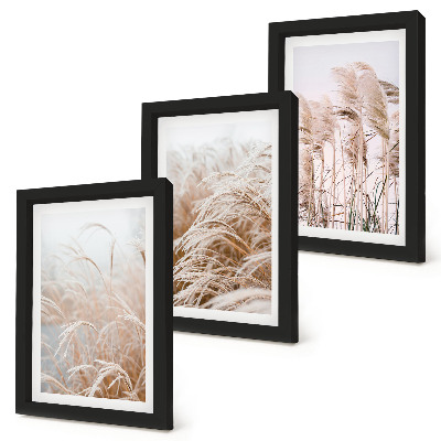 Composizione di 3 quadri Campi d'erba dalle delicate sfumature di marrone e beige