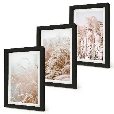 Composizione di 3 quadri con campi d'erba dalle delicate sfumature di marrone e beige