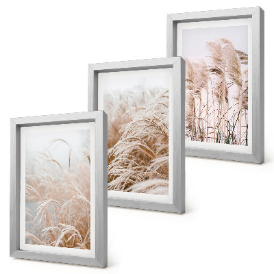 Composizione di 3 quadri Campi d'erba dalle delicate sfumature di marrone e beige