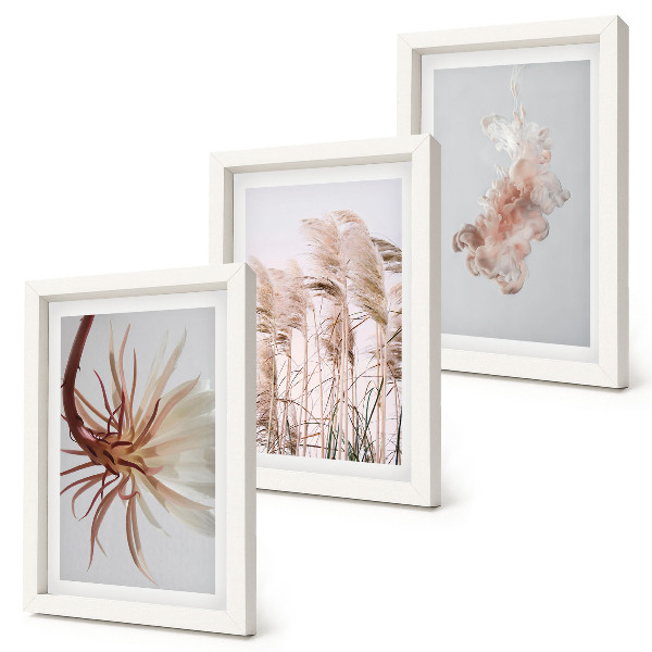Trittico incorniciato Fiori ed erbe su uno sfondo chiaro in un insieme armonioso