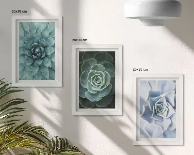 Composizione di 3 quadri con piante succulente nelle tonalità del verde e del turchese