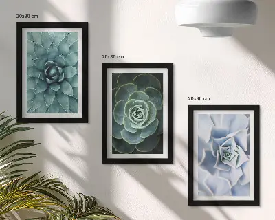 Composizione di 3 quadri con piante succulente nelle tonalità del verde e del turchese