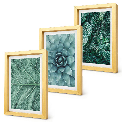 Trittico incorniciato Primi piani di piante succulente e foglie