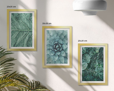 Trittico incorniciato Primi piani di piante succulente e foglie